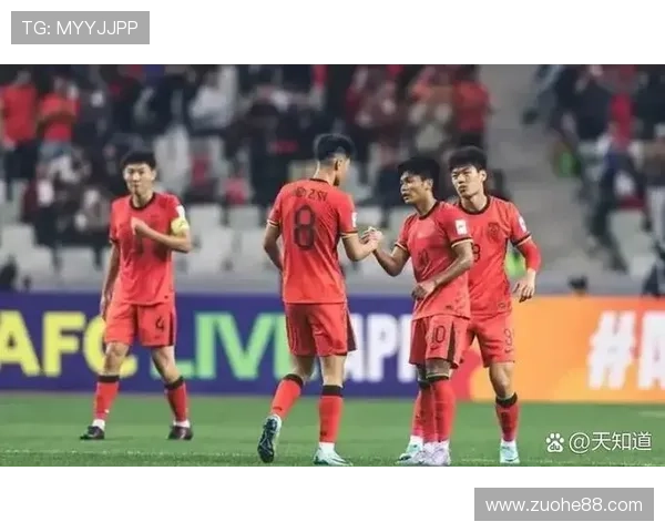 徐亮足球生涯薪资揭秘及其对中国足球发展的影响分析