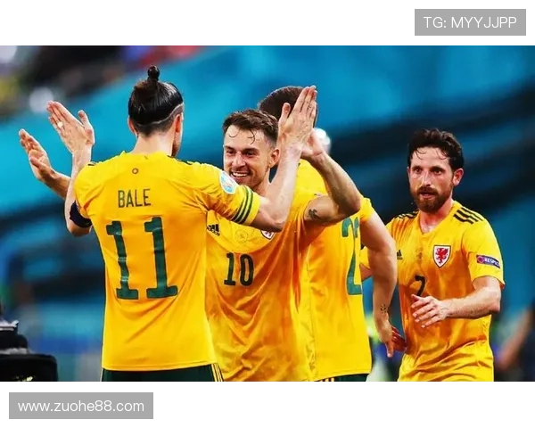 武汉羽毛球队在欧锦赛中的默契配合与战术分析